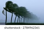 A line of palm trees are dramatically bent over by powerful winds, suggesting a storm or hurricane is in progress.
