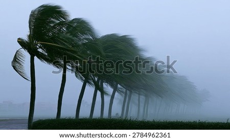 A line of palm trees are dramatically bent over by powerful winds, suggesting a storm or hurricane is in progress.
