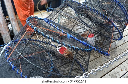 A line of prawn pots ready to release into the ocean.