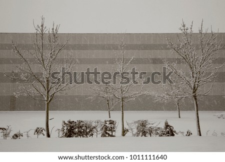 Similar – weihnachtsferien Bildung