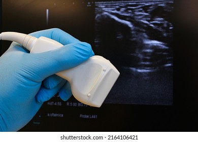 Linear ultrasound diagnostic probe held in doctor hand in blue glove, B-mode structure of wrist and median nerve for carpal tunnel syndrome diagnostics in background.