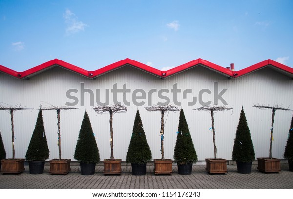 Lined Trees Cabins Nursery Garden Stock Photo Edit Now 1154176243