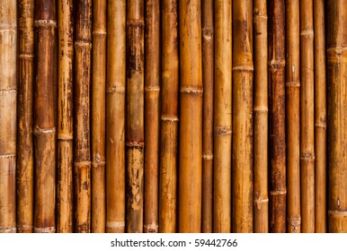 Lines Of Bamboo Fence