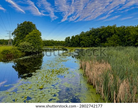 Lines or bands of popcorn puff clouds form in the skies over a DesPlaines River backwater area which a power line runs through in DesPlaines River State Fish and Wildlife Area in Will County, Illinois