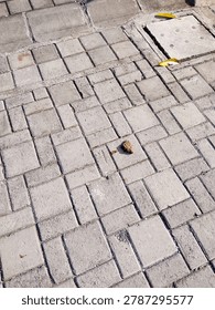 Lines, cracks, and quiet patterns. Just an ordinary pavement, but the geometry holds its own kind of beauty. Finding art in the everyday.