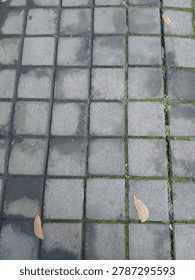 Lines, cracks, and quiet patterns. Just an ordinary pavement, but the geometry holds its own kind of beauty. Finding art in the everyday.
