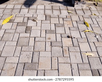 Lines, cracks, and quiet patterns. Just an ordinary pavement, but the geometry holds its own kind of beauty. Finding art in the everyday.