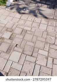 Lines, cracks, and quiet patterns. Just an ordinary pavement, but the geometry holds its own kind of beauty. Finding art in the everyday.