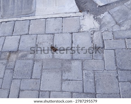 Lines, cracks, and quiet patterns. Just an ordinary pavement, but the geometry holds its own kind of beauty. Finding art in the everyday.