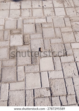 Lines, cracks, and quiet patterns. Just an ordinary pavement, but the geometry holds its own kind of beauty. Finding art in the everyday.