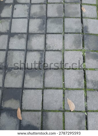 Lines, cracks, and quiet patterns. Just an ordinary pavement, but the geometry holds its own kind of beauty. Finding art in the everyday.