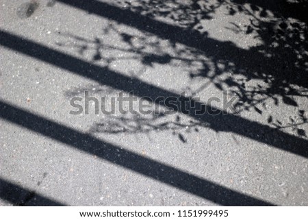 Similar – Image, Stock Photo Shadow of the Tree Summer