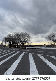 Lines and shadows. A dramatic low-angle view of a Japanese crosswalk under the midday sun.