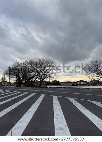 Lines and shadows. A dramatic low-angle view of a Japanese crosswalk under the midday sun.