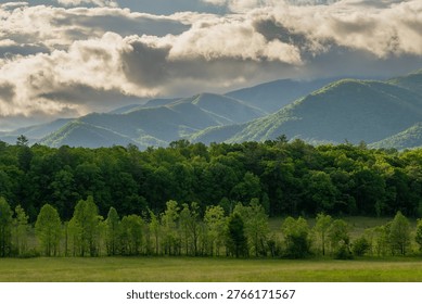 Lines Of Trees Break Up The Fields In Cades Cove in the Smokies