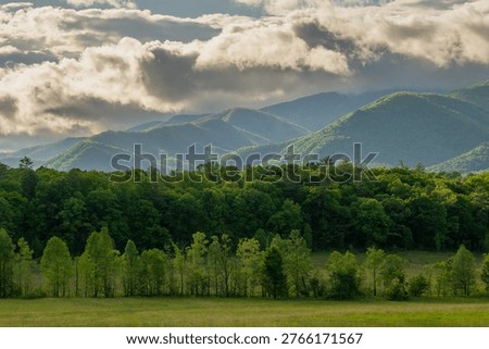 Lines Of Trees Break Up The Fields In Cades Cove in the Smokies