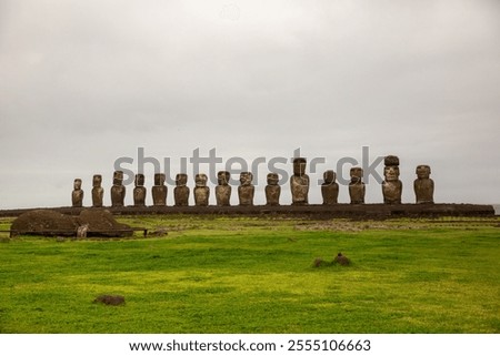 A lineup of Moai statues on Easter Island stands proudly, representing ancient craftsmanship and cultural significance. A timeless scene on a remote Pacific island.