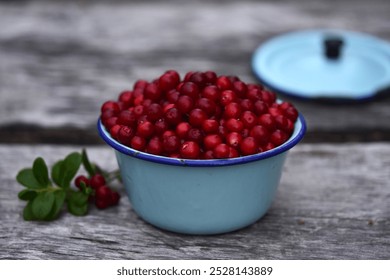 Lingonberries. Blue vintage enamel bucket full of fresh, red lingonberries on a grey wooden table. Lid in the background. Still life photo, landscape format. Calender design.