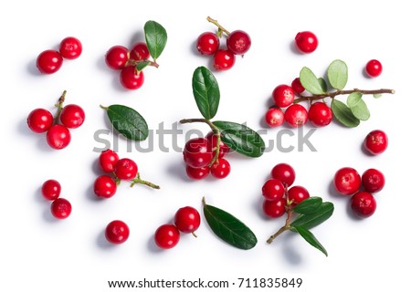 Lingonberry (fruits of Vaccinium vitis-idaea), top view. Clipping paths, shadow separated. Layers: goo.gl/kqAV4x 