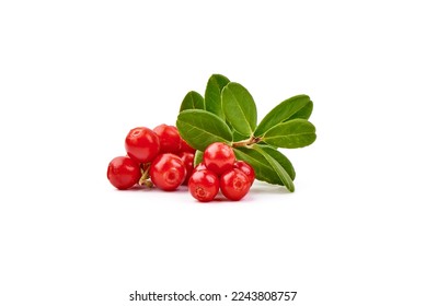 Lingonberry with leaves, isolated on white background