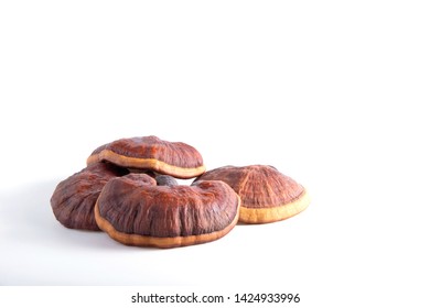 Lingzhi mushroom on white background (Ganoderma Lucidum). Chinese traditional medicine and nutritive value