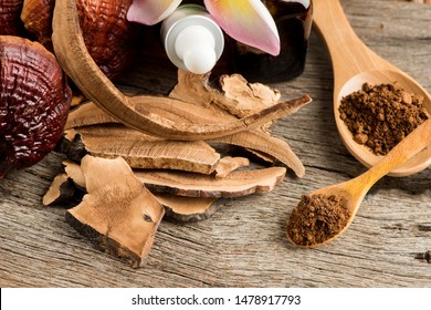 Reishi mushroom extract Images, Stock Photos u0026 Vectors  Shutterstock