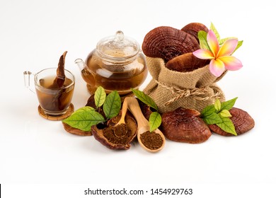Lingzhi mushroom, Reishi mushroom ,powder and tea on white background.