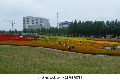 Linhai, Heilongjiang, China - June 23 2021: Worker Are Working On Flowers And Grass Of A Chinese Government Building.