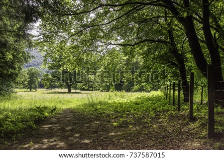 Similar – Image, Stock Photo Path in an oak grove path