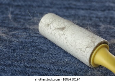 Download Pet Hair Remover High Res Stock Images Shutterstock