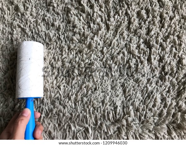 carpet lint roller