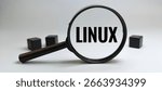 Linux logo viewed through magnifying glass, technology concept focusing on open source software, system analysis, cybersecurity, and IT examination. 