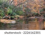 Linville River, a popular trout fishing stream, is lined with autumn colored foliage reflecting in the water in western North Carolina.