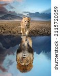 Lion cub looking the reflection of an adult lion in the water on a background of mountains