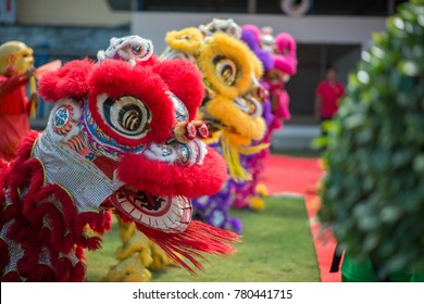 Lion dance in the Chinese New Year.