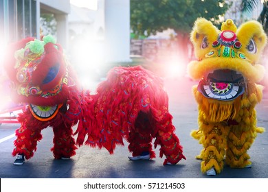 Lion dance costume show during ceremony of Chinese new year celebration