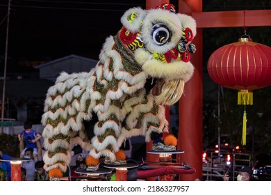 Lion Dance Performance Show During Chinese New Year Festival At Kota Kinabalu City, Sabah, Malaysia During At Night