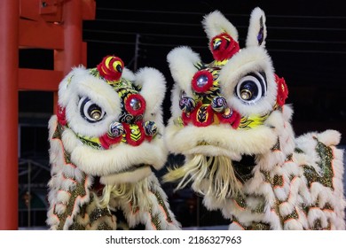 Lion Dance Performance Show During Chinese New Year Festival At Kota Kinabalu City, Sabah, Malaysia During At Night