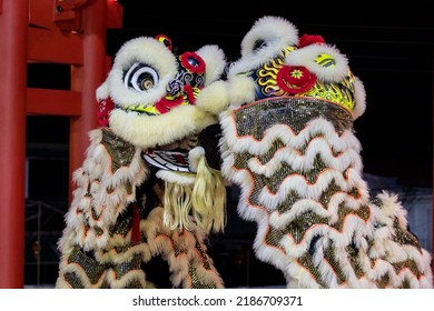 Lion Dance Performance Show During Chinese New Year Festival At Kota Kinabalu City, Sabah, Malaysia During At Night