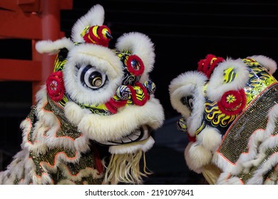 Lion Dance Performance Show During Chinese New Year Festival At Kota Kinabalu City, Sabah, Malaysia During At Night