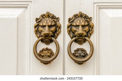 lion - door knocker