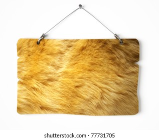 Lion Fur Notice Board