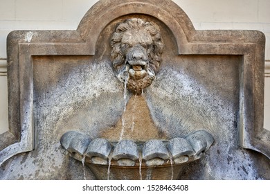 Lion garden fountain with water streaming down                   