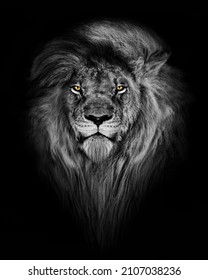 Lion , Gorilla , Elephant mammal animal , black white wildlife perfect for poster and canvas	