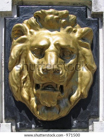 Lion head