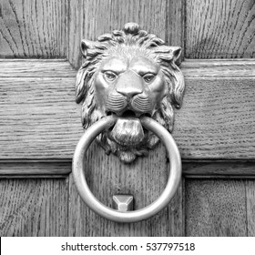 Lion head knocker on an old wooden door in Florence,Tuscany, Italy (black and white).