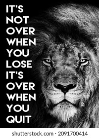 Lion , Inspirational Motivational quote , it`s not over when you lose it`s over when you quit - Shutterstock ID 2091700414