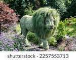 The Lion King at the Mosaiculture of Quebec City