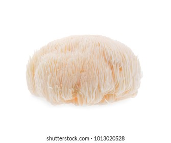 994 Lions Mane Mushroom Images, Stock Photos & Vectors | Shutterstock