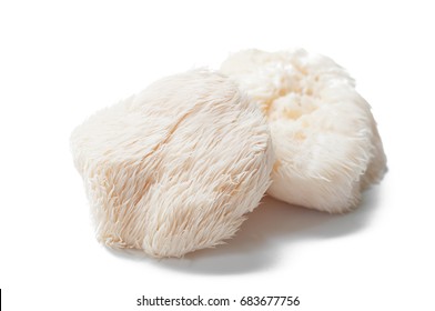 994 Lions Mane Mushrooms Images, Stock Photos & Vectors | Shutterstock